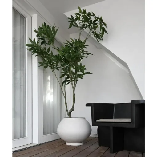 101 Copenhagen Sunao Plantekasse Fat Hexa Birk