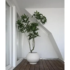 101 Copenhagen Sunao Plantekasse Fat Hexa Birk