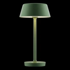Antidark Companion T2 Bordlampe Stor Mat Grøn