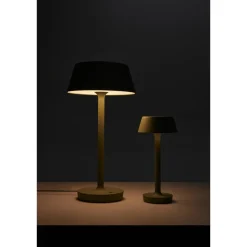 Antidark Companion T2 Bordlampe Stor Mat Grøn
