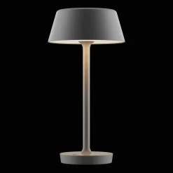 Antidark Companion T2 Bordlampe Stor Mat Grå