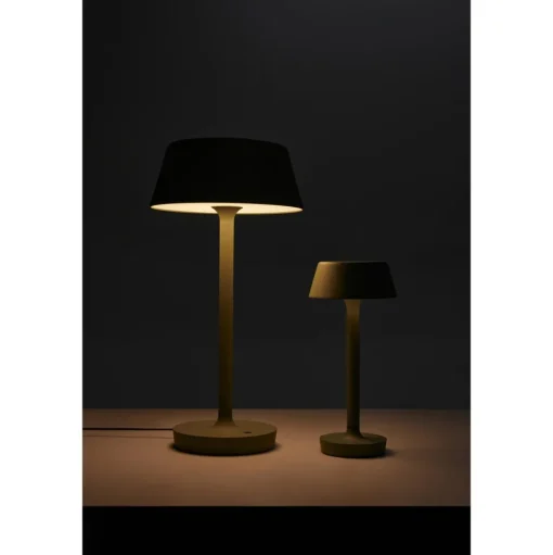 Antidark Companion T2 Bordlampe Stor Mat Grå