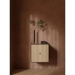 Audo Frame 42 Med Dør 21X42X42 Eg