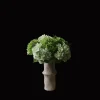 Botané Hydrangea Buket Grøn