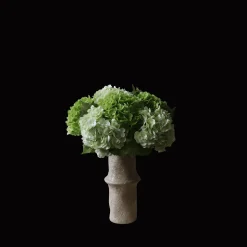 Botané Hydrangea Buket Grøn