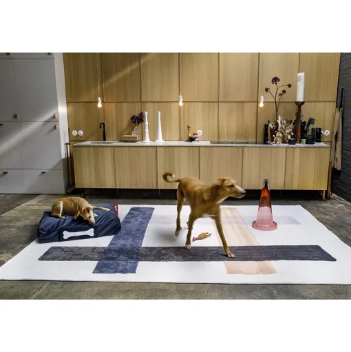 Fatboy Can-Dog Lysestage Anthracite