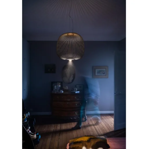 Foscarini Spokes 2 Pendel med Lysdámper Sort