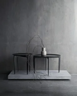Fritz Hansen Tray Sofabord SortØ60