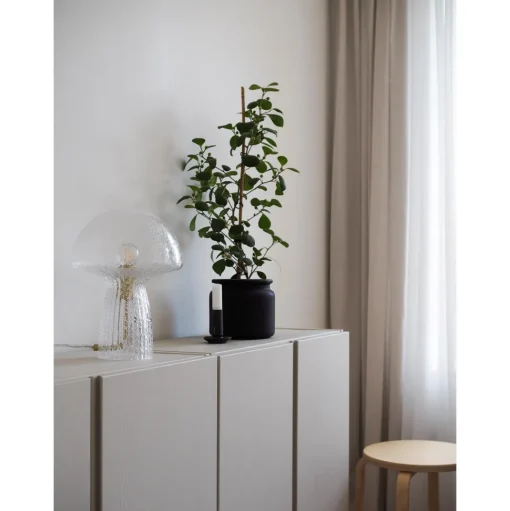 Globen Lighting Fungo 22 Bordlampe Special Edition Klar
