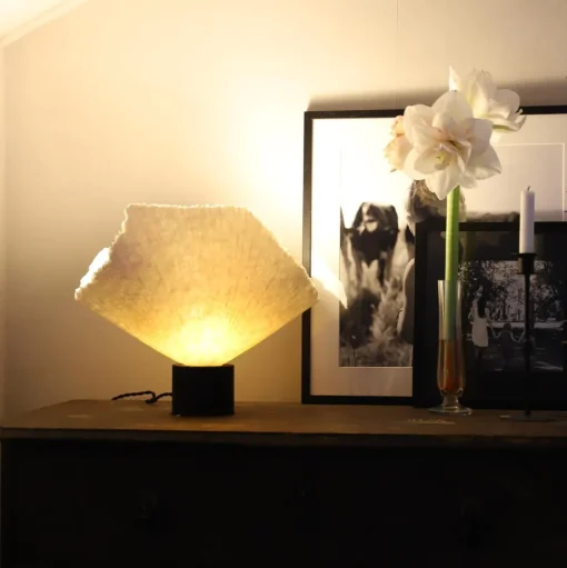 Globen Lighting Tropez Bordlampe Hvid