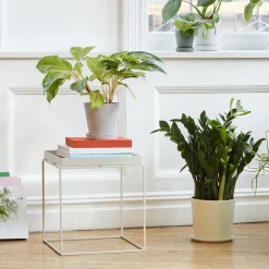 HAY Tray Sidebord Medium Varm Grå