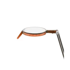 Kartell Aledin Tec Bordlampe Rav