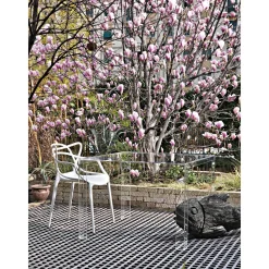 Kartell Masters Spisebordsstol Senape