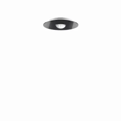 Lodes Bugia Single 3000K Loftlampe Sort