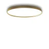 Luceplan Compendium Plate Vág/Loftlampe Messing