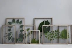 MOEBE Frame A2 Eg