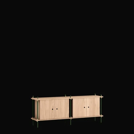 MOEBE S.65.2.D.OA Reol System Eg/Pine Green
