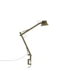 Muuto Dedicate S2 Bordlampe Med Klemme Brungrøn