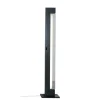 Nemo Ara Floor DTW Gulvlampe Antracit/Poleret Aluminium