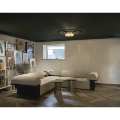 Nuura Apiales 7 Loftlampe Børstet Messing/Guld