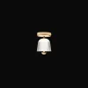Nuura Asteea Loftlampe Satin Messing/Riflet Klar