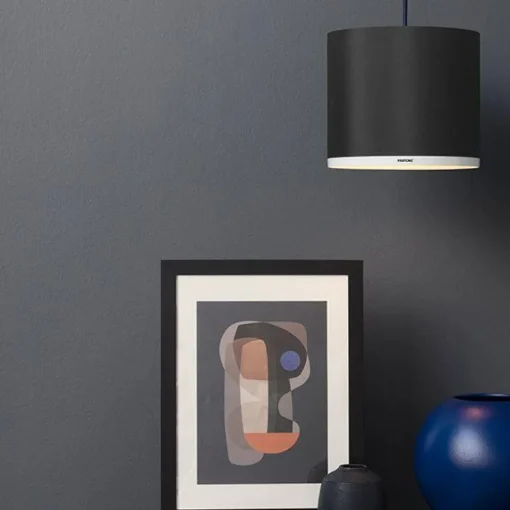 Pantone Mintaka 25 Skárm Grå