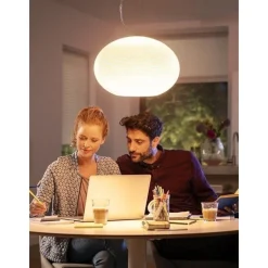 Philips Hue Flourish White Colour Ambiance Pendel