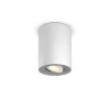 Philips Hue Pillar Single Spot Hvid excl. Dámper