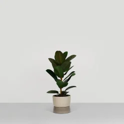 Ro Collection Two Tone Planter Krukke Stor Dune Grey