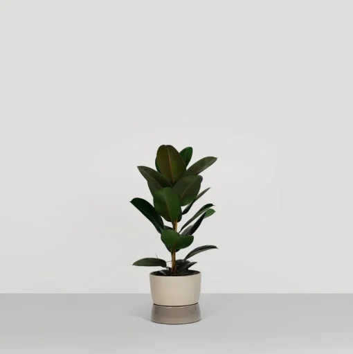 Ro Collection Two Tone Planter Krukke Stor Dune Grey