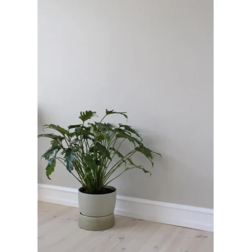 Ro Collection Two Tone Planter Krukke Stor Dune Grey