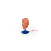 Seletti Magna Graecia Collection Ulysse Mask Bordlampe Terracotta/Blå