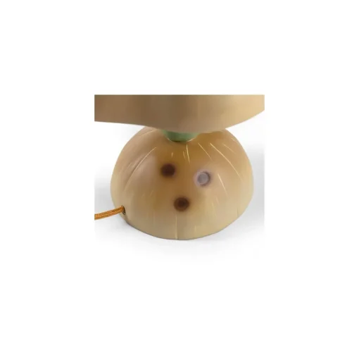 Seletti Vitamin Collection Pumpkin Bordlampe Multifarvet