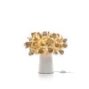 SLAMP Clizia Mama Non Mama Bordlampe Guld/Lys Base