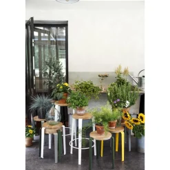 TipToe LOU Skammel Farvet Egetrá/Eucalyptus Grey