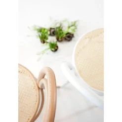 TON No 14 Spisebordsstol Rattan/Ubehandlet