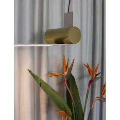 TOOY Nastro 563.21 Pendel Eggshell/Børstet Messing