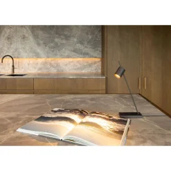 Trizo 21 Aude-Table Bordlampe Gunmetal