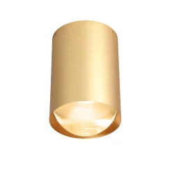 Trizo 21 Bily 16 Up Spot Guld