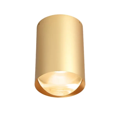 Trizo 21 Bily 16 Up Spot Guld