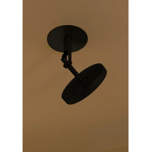 Umage Asteria Spot Sort