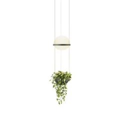 Vibia Palma Pendel med Planteskål