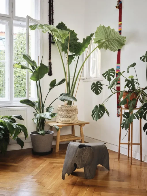 Vitra Eames Elephant Taburet Stor Grå Ask