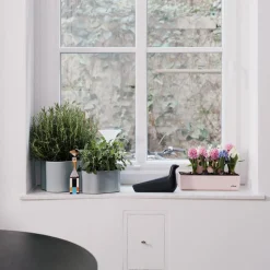 Vitra L'Oiseau Skulptur Moss Grey/Gloss