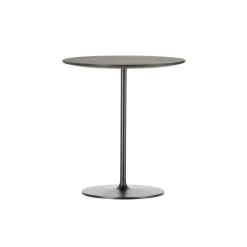 Vitra Occasional Lavt BordØ55 Valnød/Chokolade