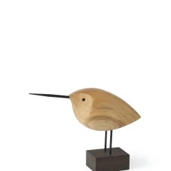 Warm Nordic Beak Bird Awake Snipe Teaktrá
